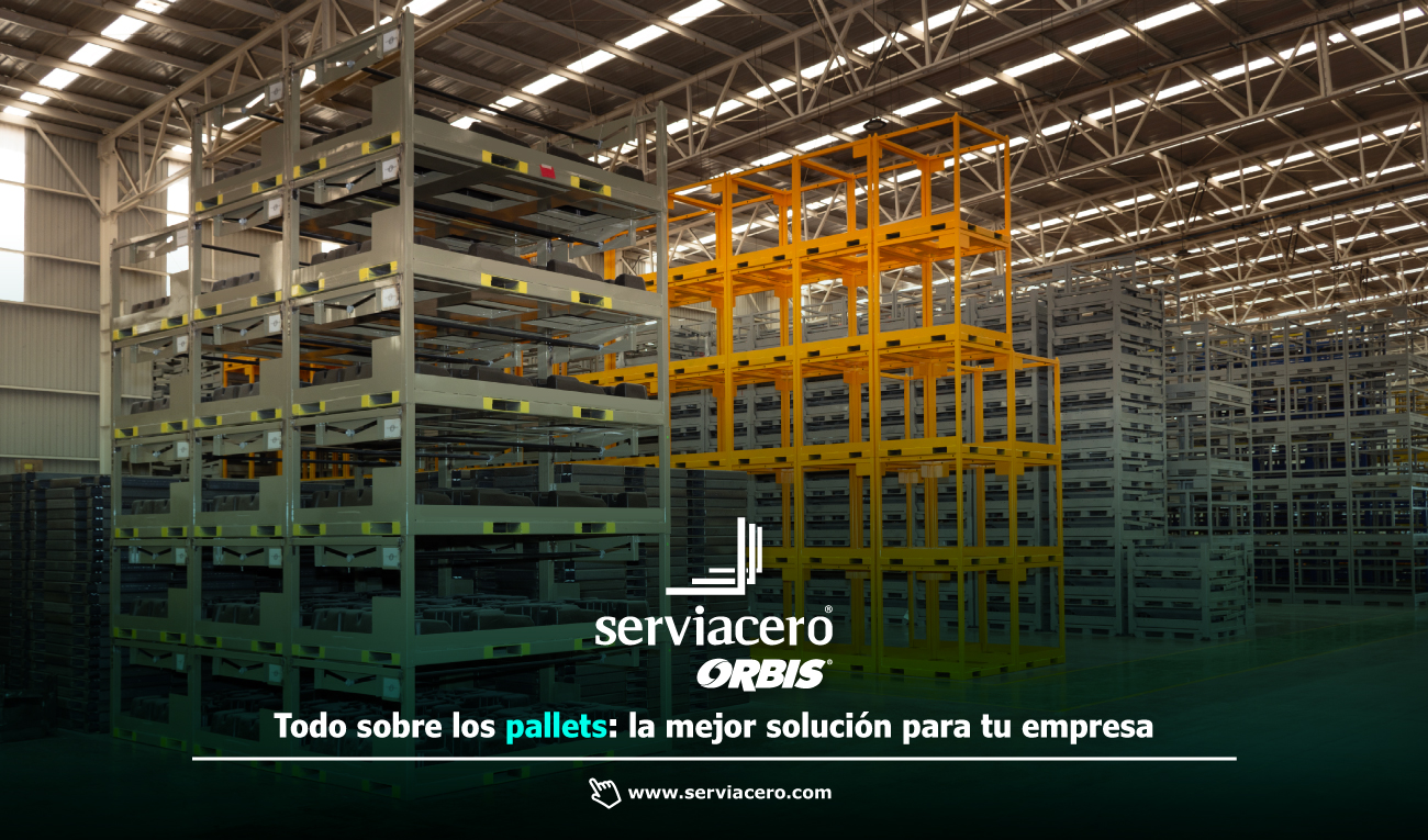 Todo sobre los Pallets: características y usos 